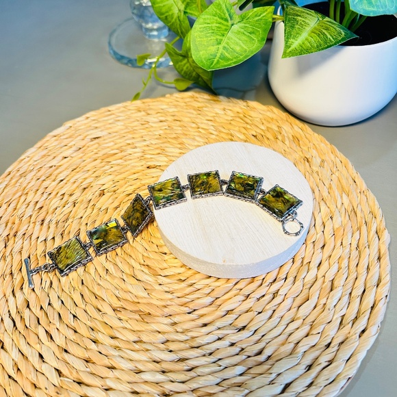 Vintage Abalone Shell Panel Link Bracelet with Silver Tone Toggle Close. - Picture 8 of 15